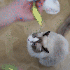 PELOTA INTELIGENTE CON COLA PARA GATO