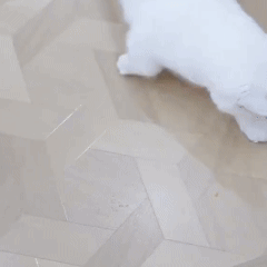 PELOTA INTELIGENTE CON COLA PARA GATO